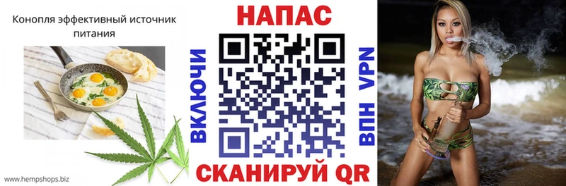 как найти наркотики  мега ССЫЛКА  Печенье с ТГК конопля  Пустошка 