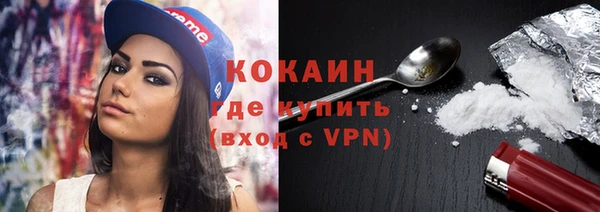 твердый Арсеньев