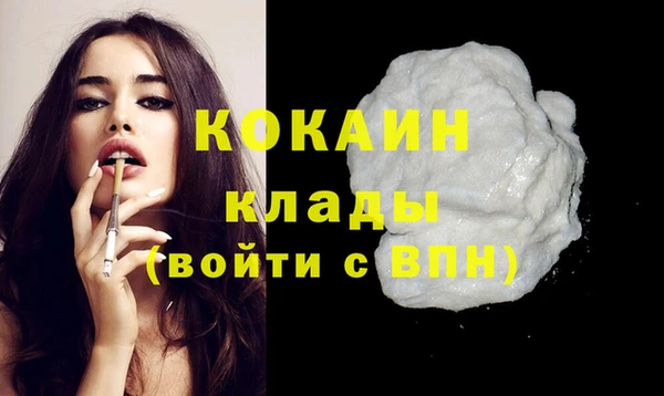 твердый Арсеньев