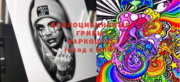 твердый Арсеньев