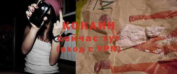 твердый Арсеньев
