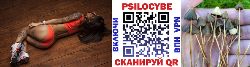 Галлюциногенные грибы мицелий  Пустошка 
